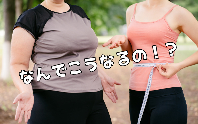 リバウンドしないダイエット